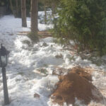 Изыскания за февраль-март 2021 года