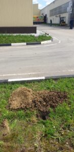 Геологические изыскания в Рязани - 2